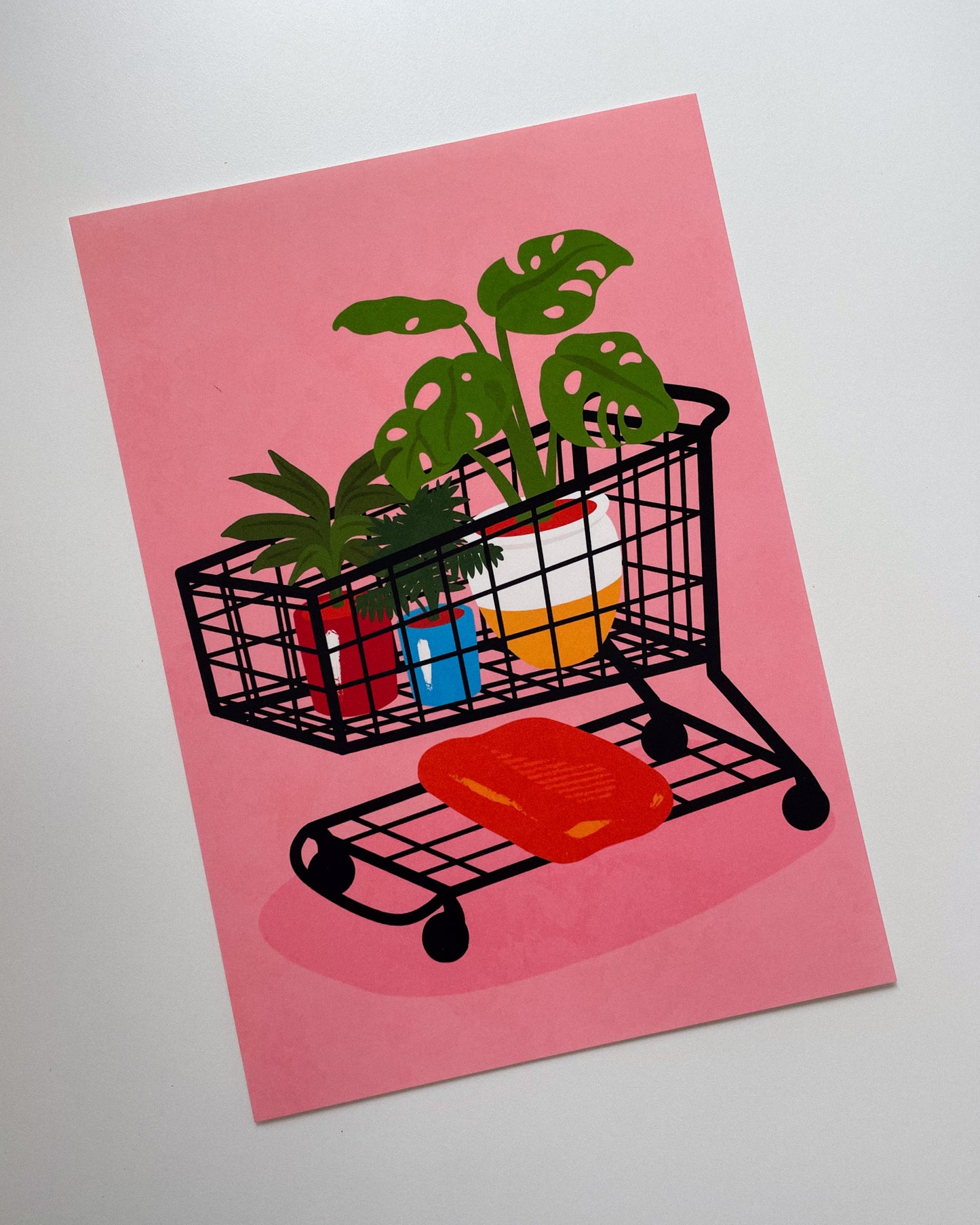 Shopping Trolley Art Print